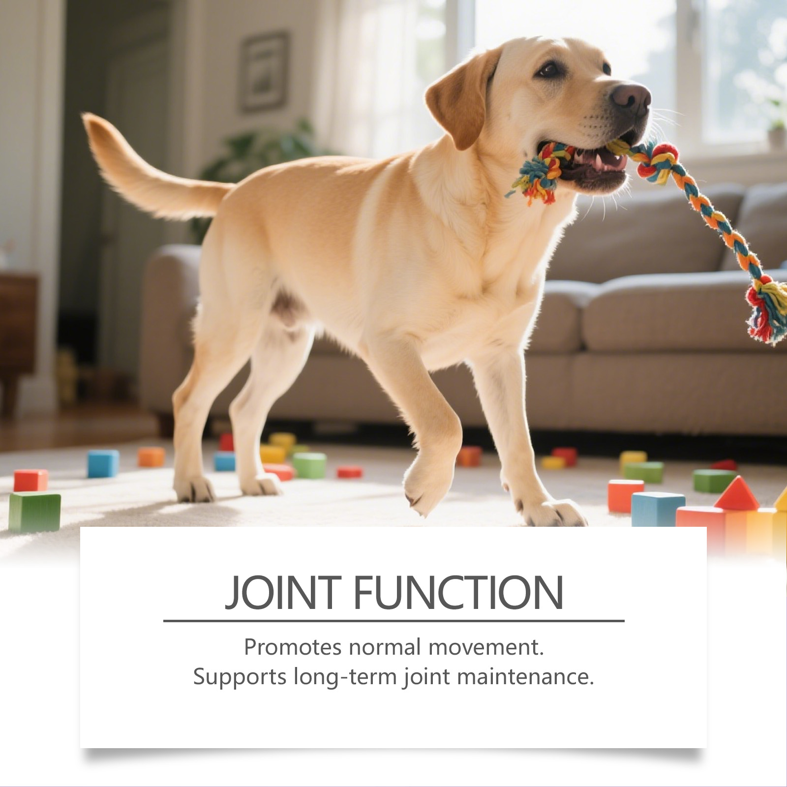 Kriath Joint Care Soft Nourishing And Caring For Pet Dog Joints Supplement Nutritional Granules_voghion.com