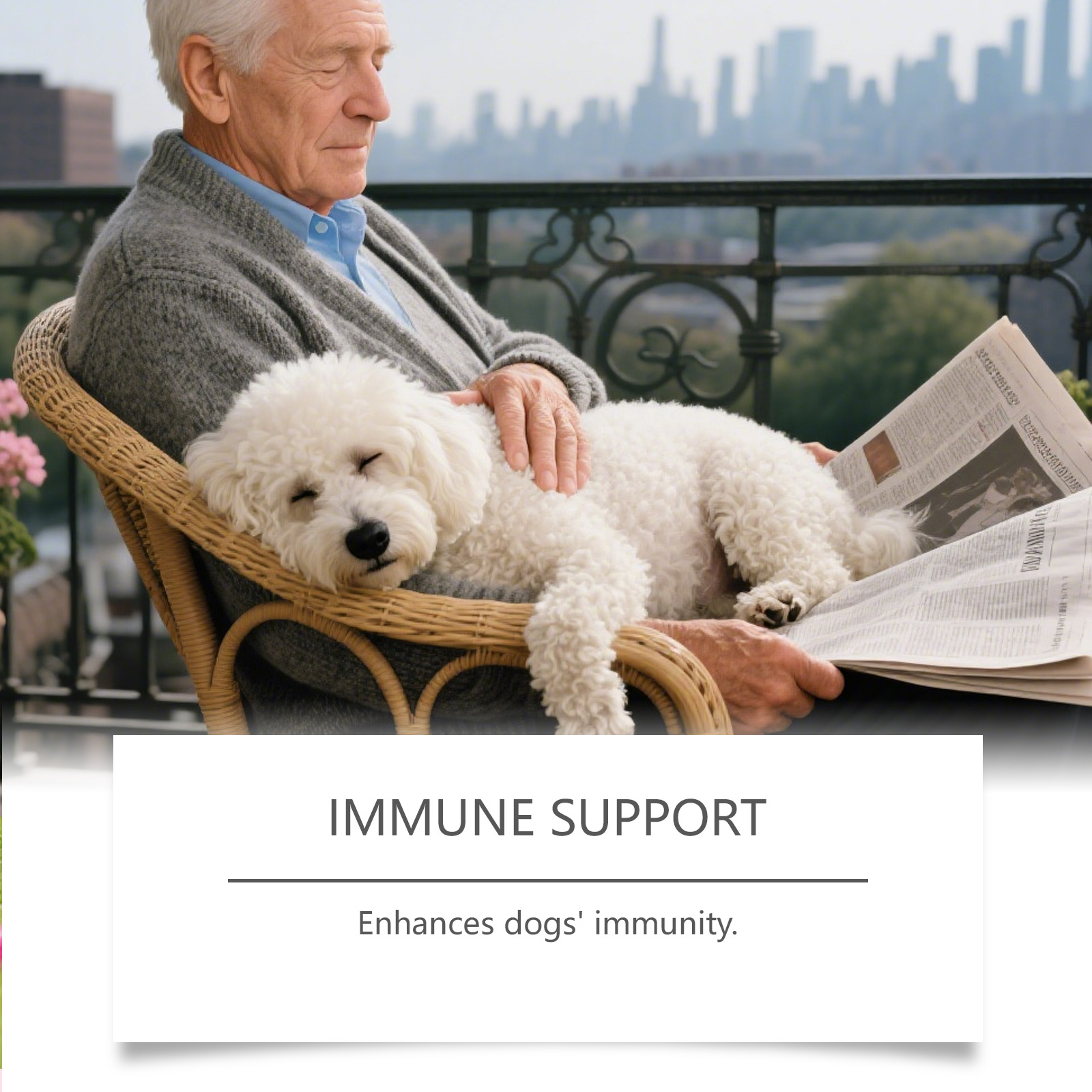 Probiotic Dog Supplement Gentle Formula Daily Nutritional Care_voghion.com