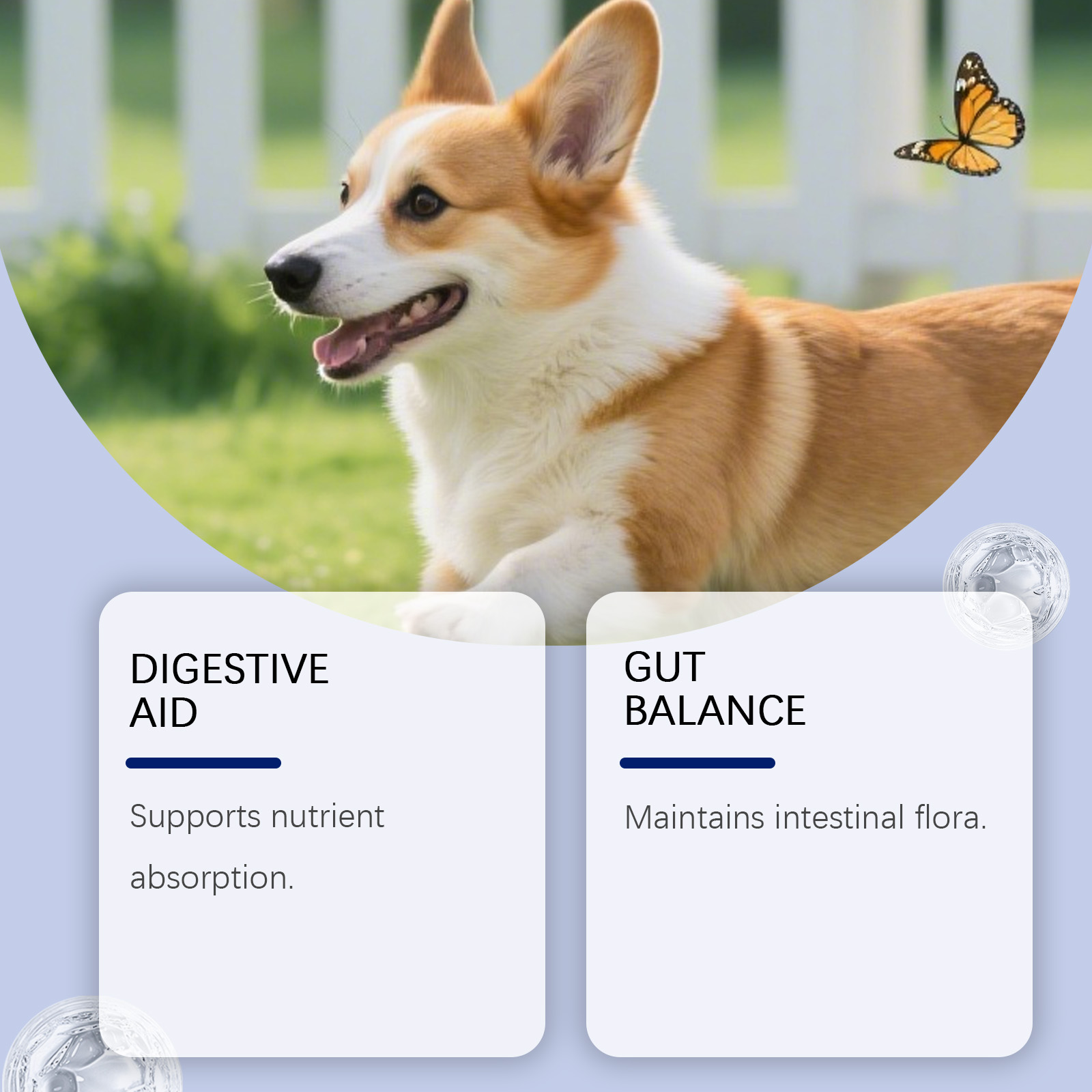 Probiotic Dog Supplement Gentle Formula Daily Nutritional Care_voghion.com