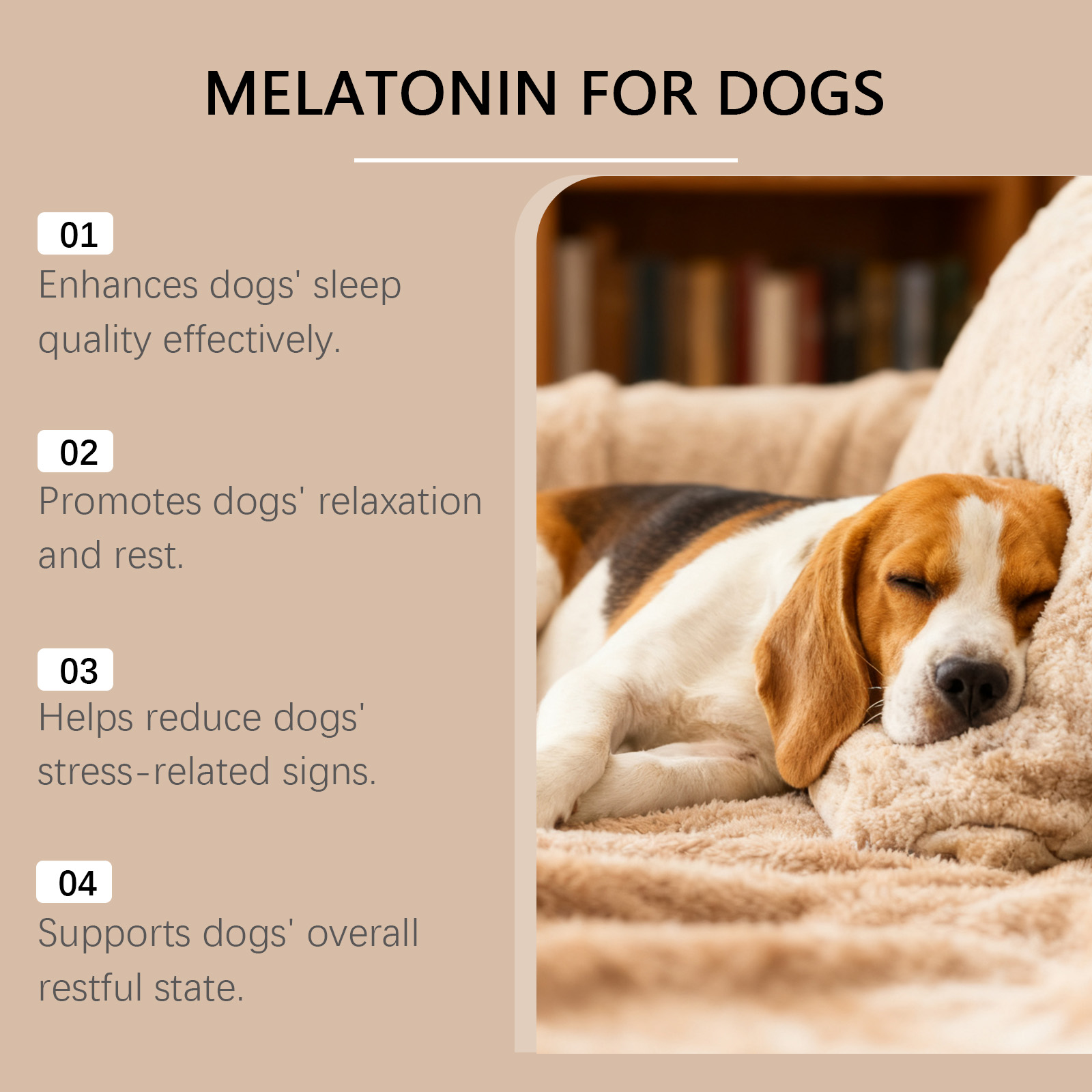 Granuli morbidi per cani kriath trattamento quotidiano delicate_voghion.com