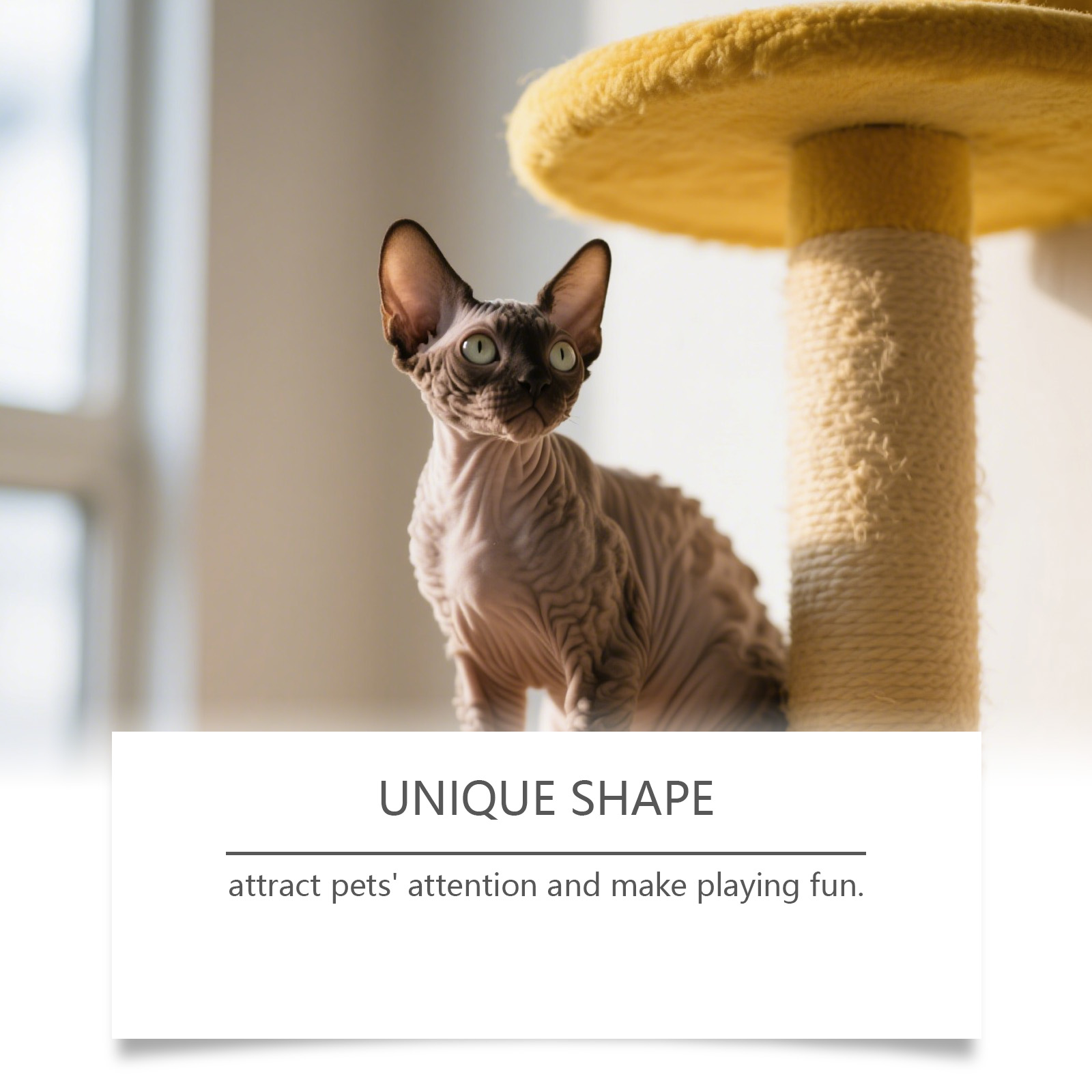 EELJOY Pet Dental Care Chewable Snack Cat Teething Stick_voghion.com