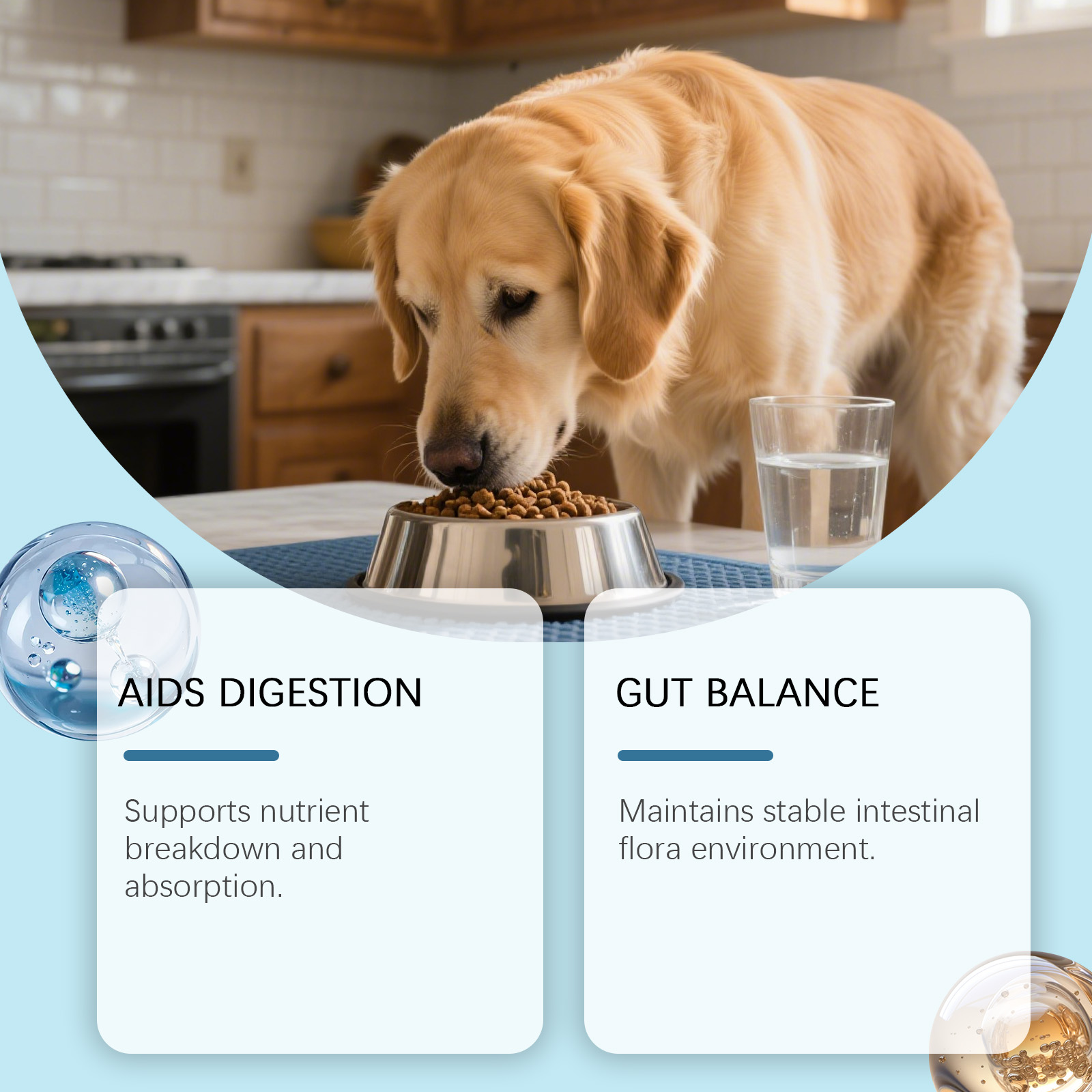 Probiotic Gentle Nutritional Granules For Healthy Dog Digestion_voghion.com