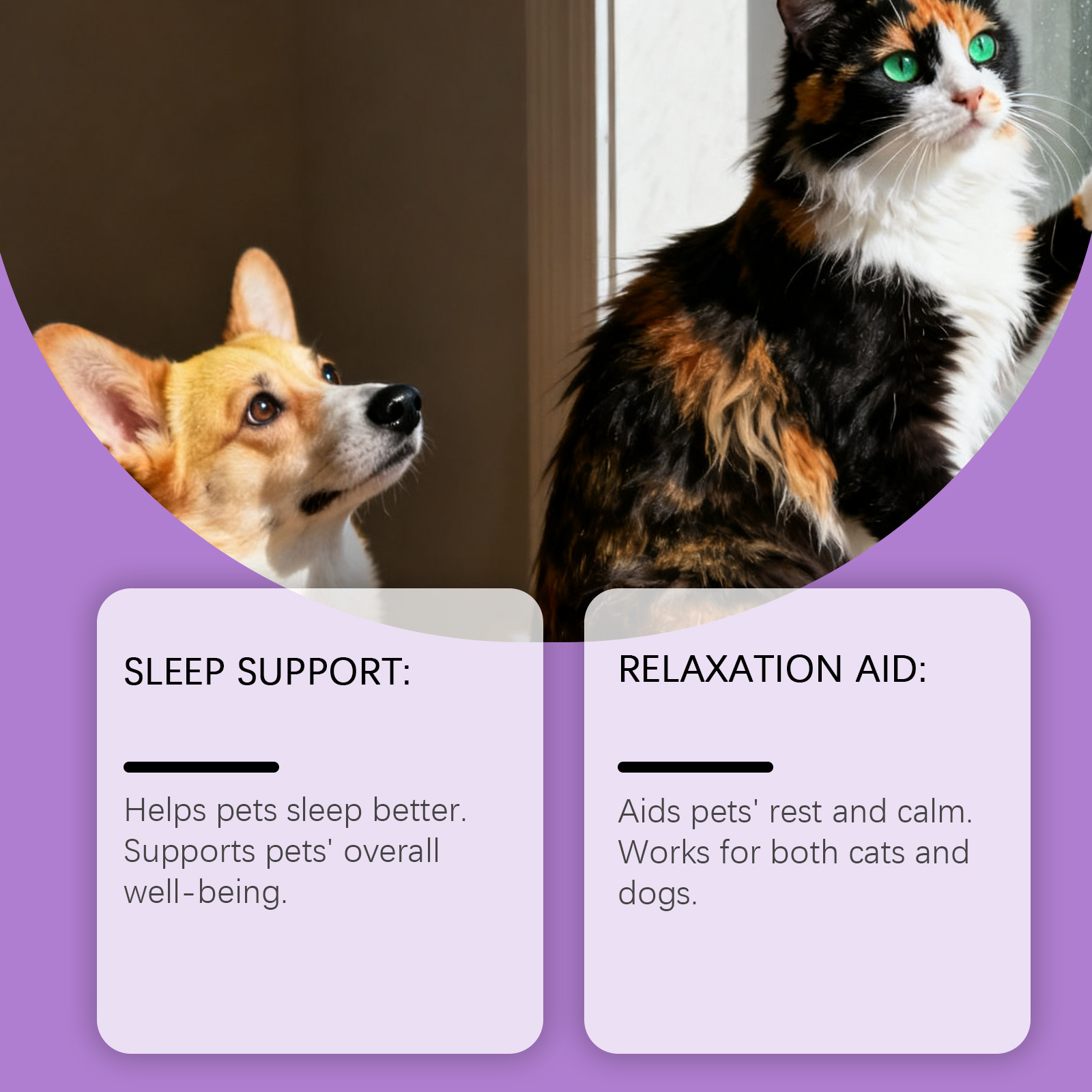 Sanfte Pflegende Pflegetropfen Für Hunde Und Katzen Täglich_voghion.com