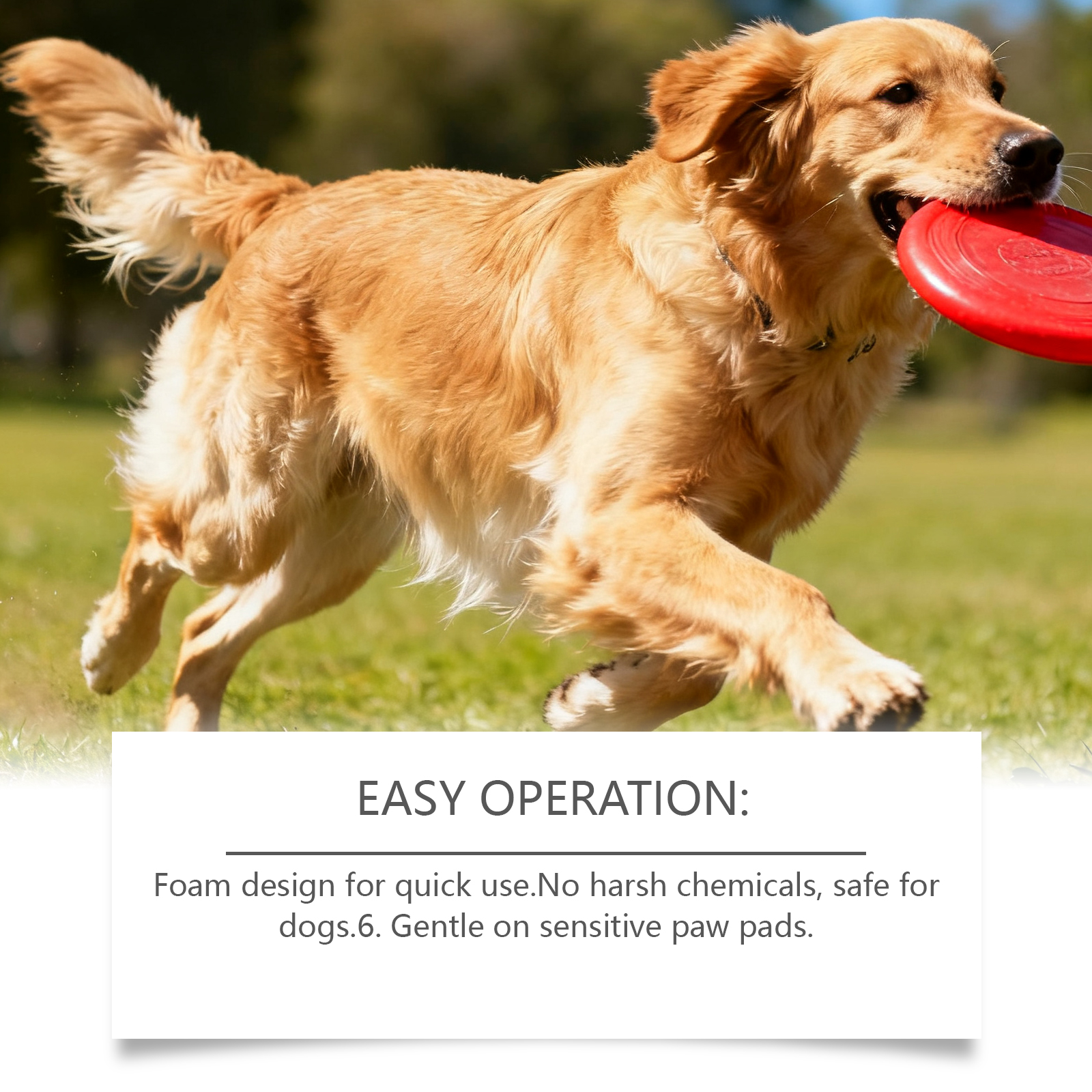 Limpiador de espuma Yegbong Paw para exteriores, limpieza suave sin enjuague, apto para todas las razas de perros._voghion.com