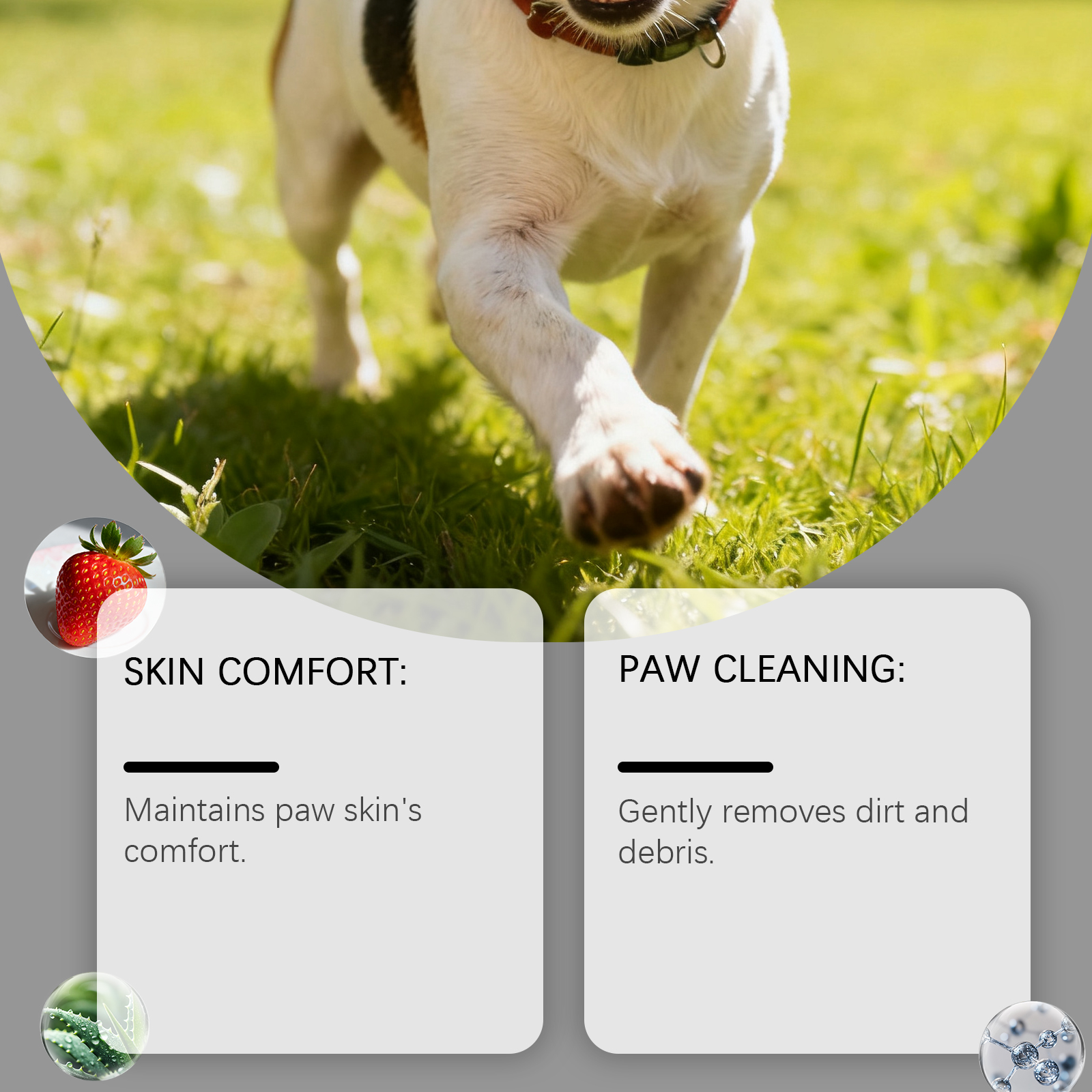 Limpiador de espuma Yegbong Paw para exteriores, limpieza suave sin enjuague, apto para todas las razas de perros._voghion.com