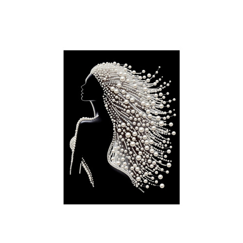 AMZ 珍珠钻石绘画艺术套装-白发美女 3D立体纹理双材光泽高清印刷初学DIY其他玩具