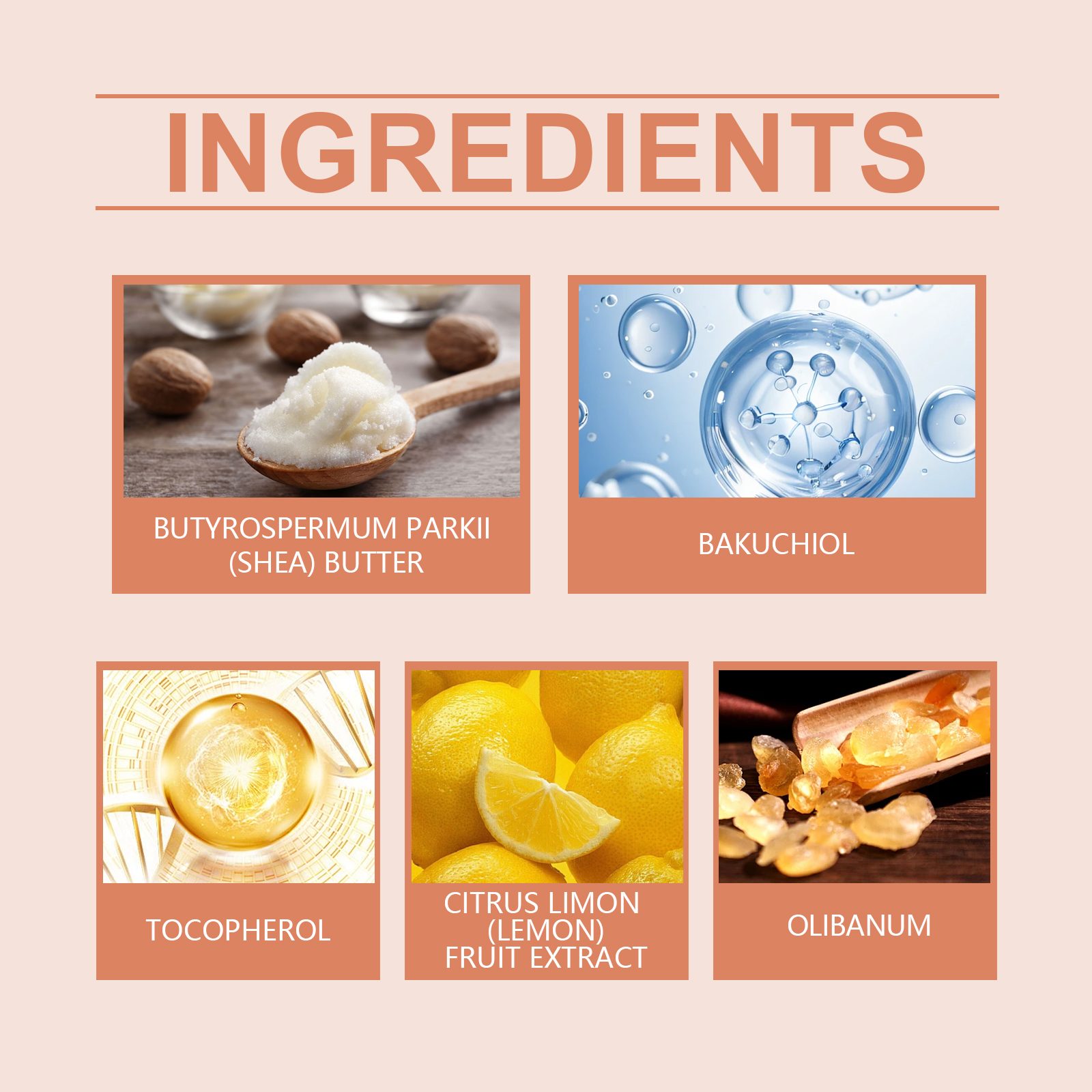 woodsleep-frankincense-body-butter-moisturizer-moisturizes-all-over-the-skin-with-silky-creamy-touch