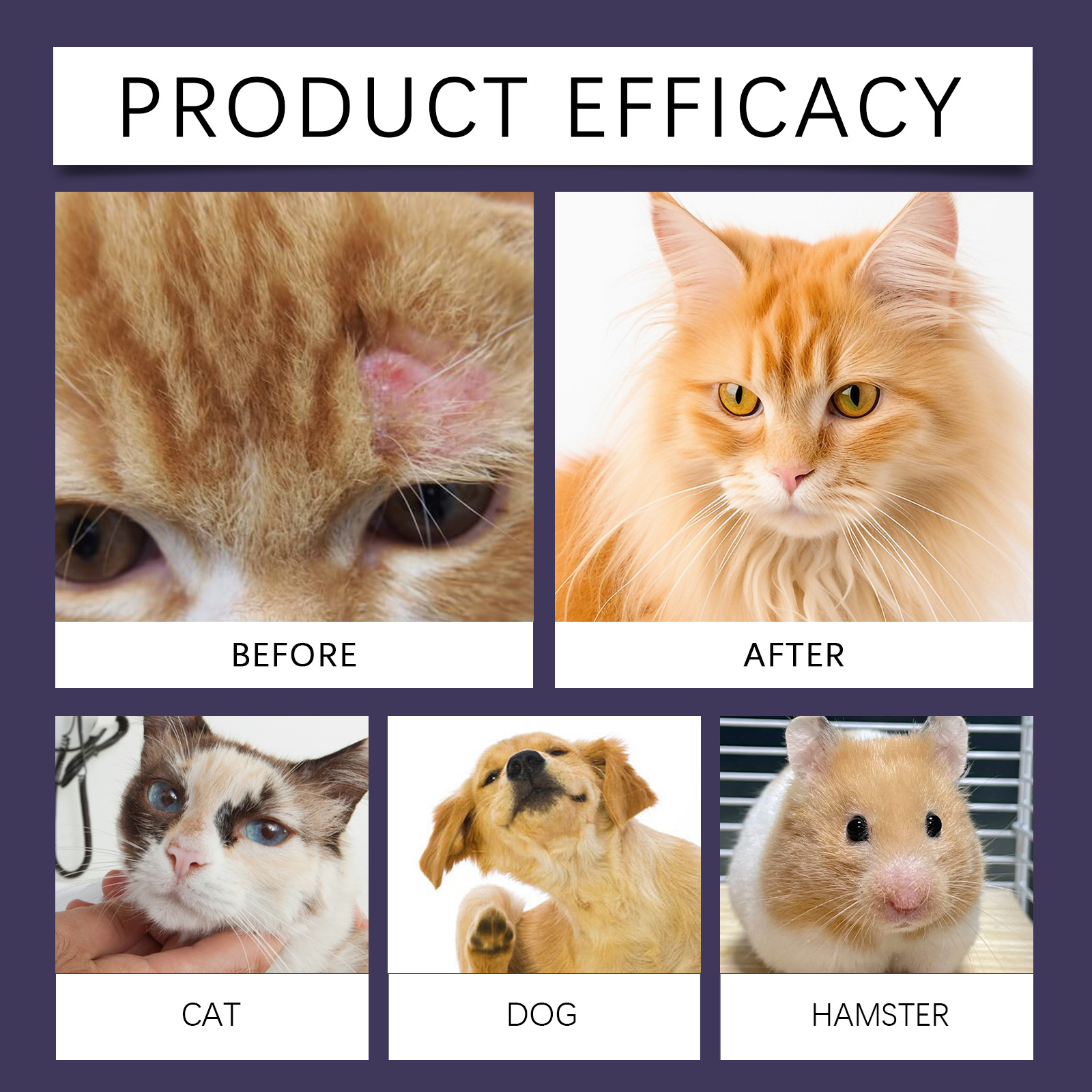 Pet Skin Soothing Protective Spray For Cats And Dogs Cleansing_voghion.com