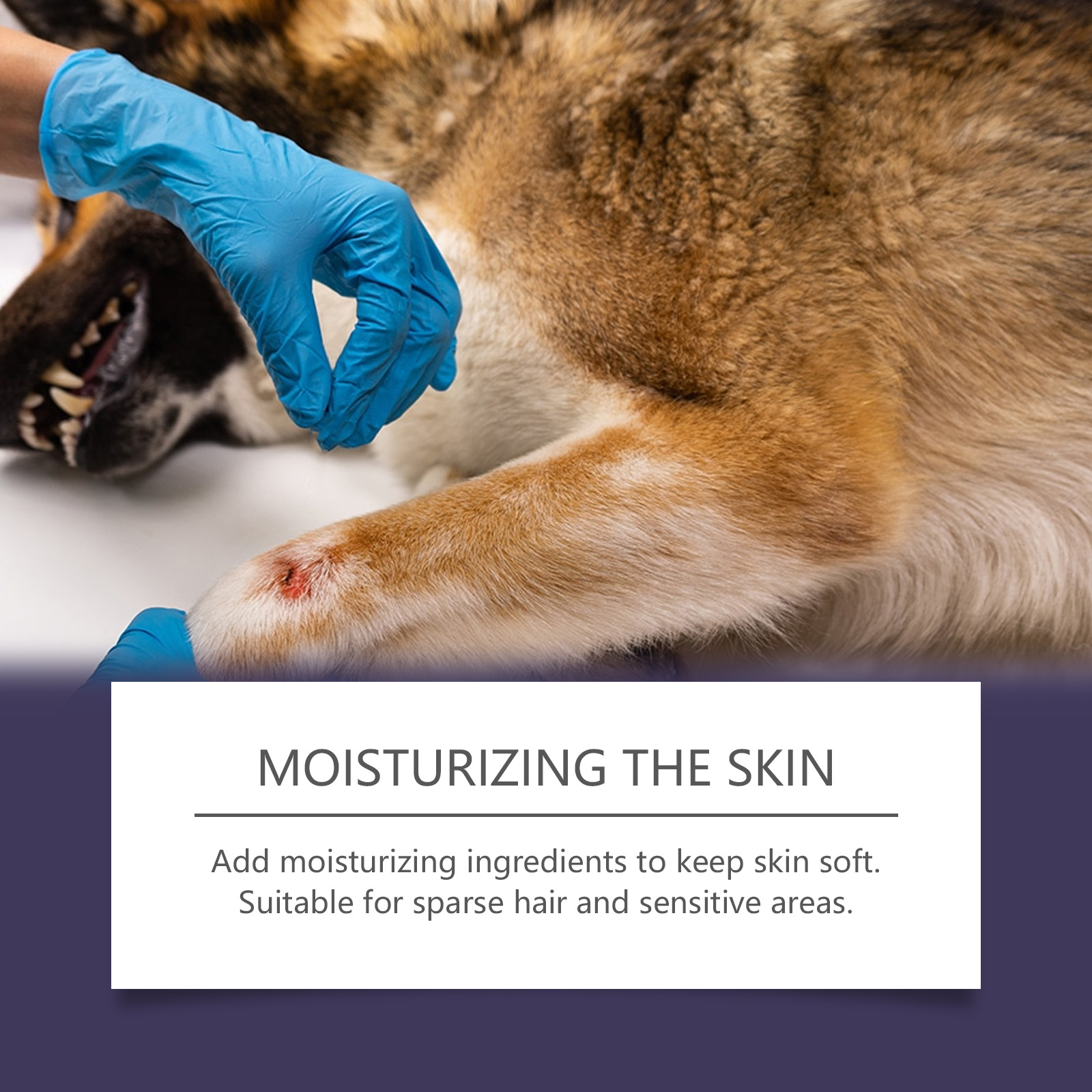 Pet Skin Soothing Protective Spray For Cats And Dogs Cleansing_voghion.com