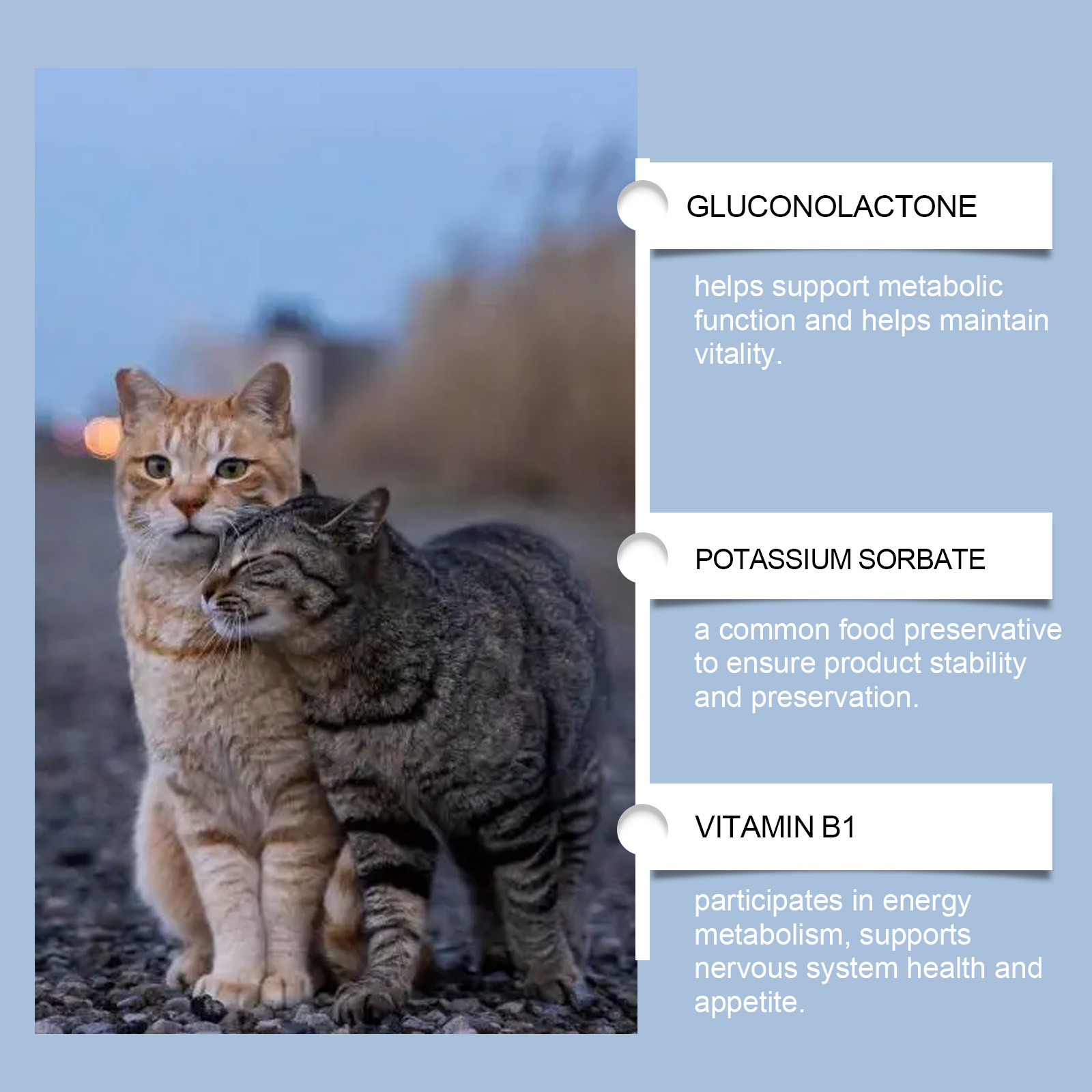 Compléments vitaminés pour chats gouttes de soin quotidien_voghion.com