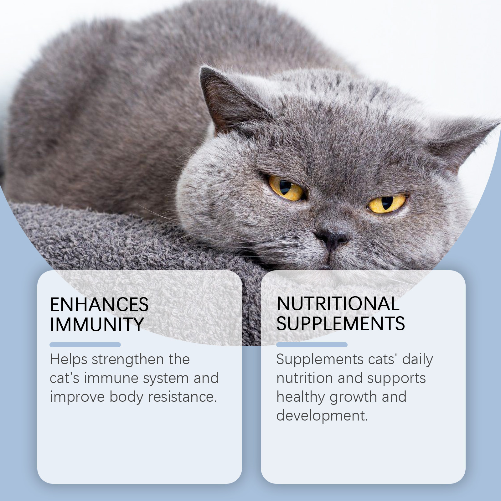 Complément alimentaire Yegbong pour chats, formule douce, gouttes vitaminées quotidiennes pour chats_voghion.com