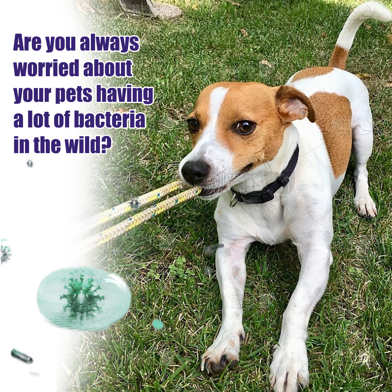 Pet Cleaning Wipes For Cats And Dogs Deodorising And Odour Removal_voghion.com