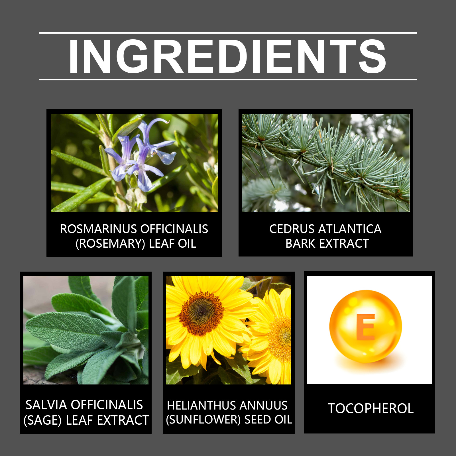 ximonth-rosemary-essential-oil-massage-waist-shoulder-elbow-knee-care-to-improve-dry-rough-skin-repair