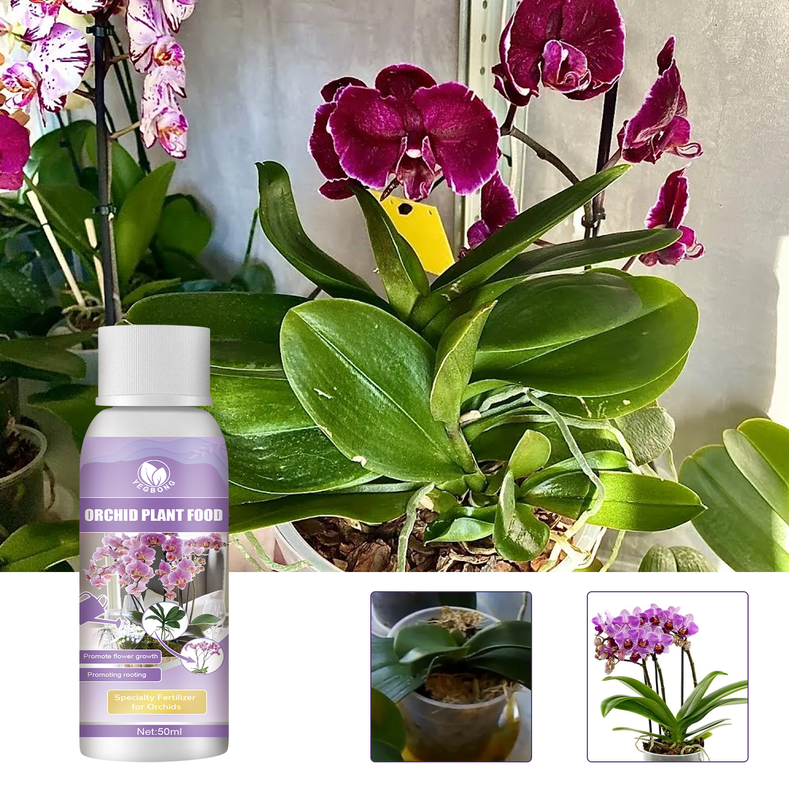 Yegbong 兰花生长肥料液 植物花蕾花卉有机肥料根部生长营养液